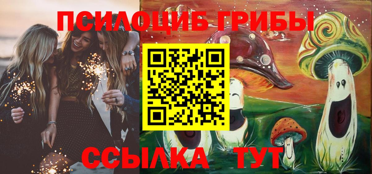 Псилоцибиновые грибы прущие грибы Заволжье