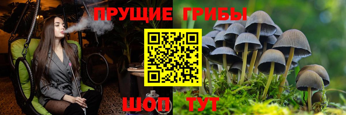 Псилоцибиновые грибы Magic Shrooms  Вход с VPN  Заволжье 